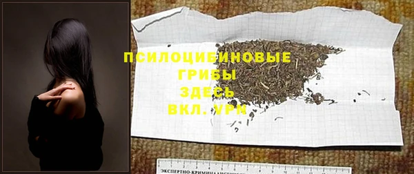 2c-b Гусиноозёрск