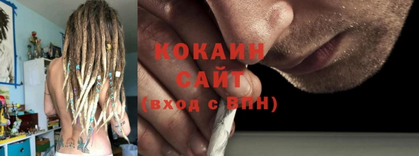 дживик Гусь-Хрустальный