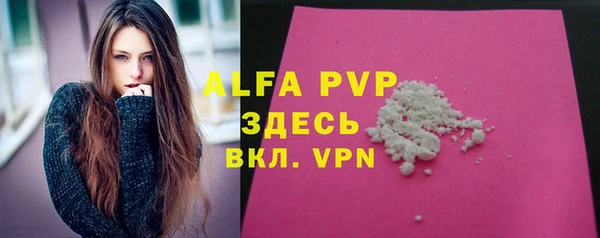 дживик Гусь-Хрустальный