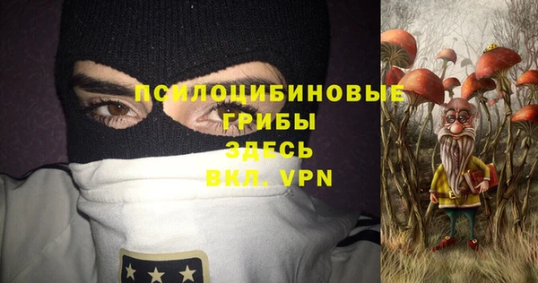 2c-b Гусиноозёрск