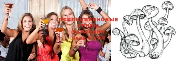 марки nbome Гусев