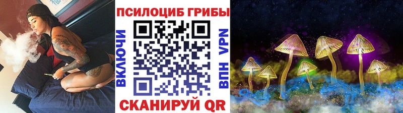 Псилоцибиновые грибы Magic Shrooms  Купить  Нестеров 