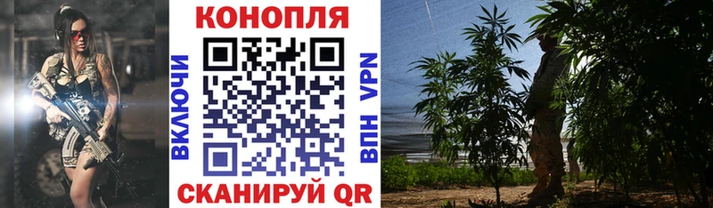 Купить  Нестеров  Марихуана THC 21% 